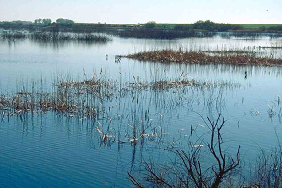 El problema del agua en un mundo digital