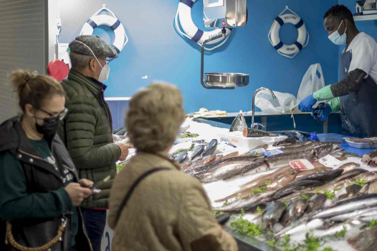 El precio de los alimentos en España