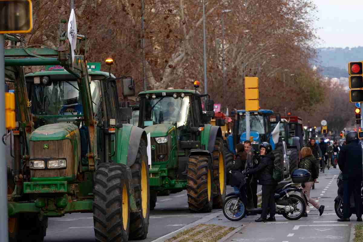 Agricultores vs intermediarios