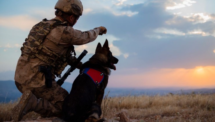 Piel de conejo, símbolo del Ejército